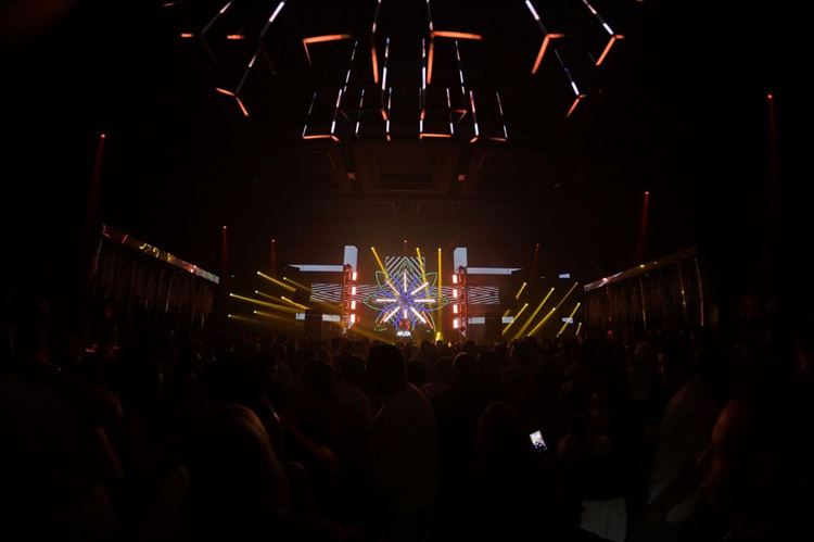 צילום: מיקי סוויסה