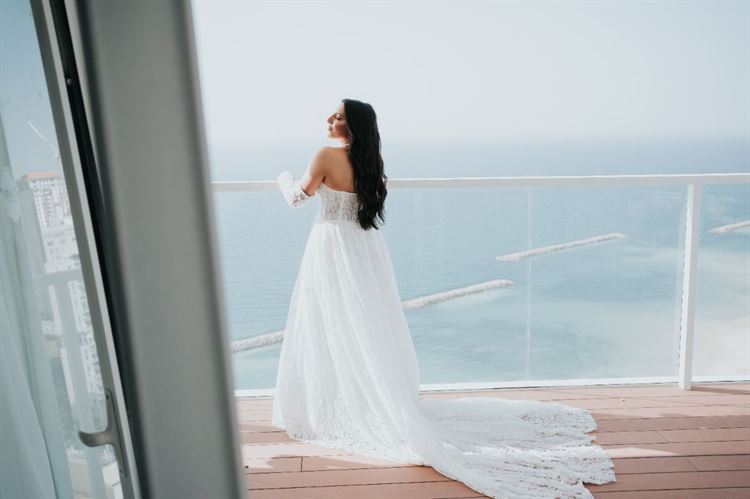 צילום: ברק כהן