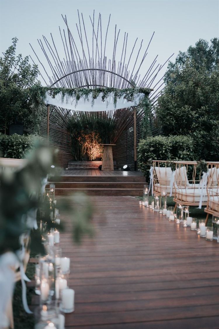 צילום: ברק כהן