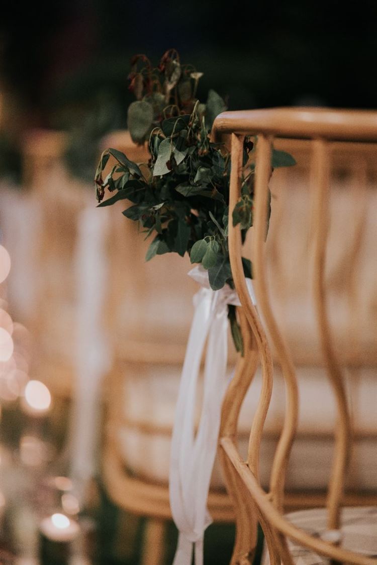 צילום: ברק כהן