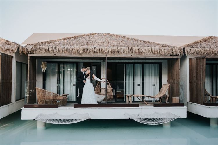 צילום: ברק כהן