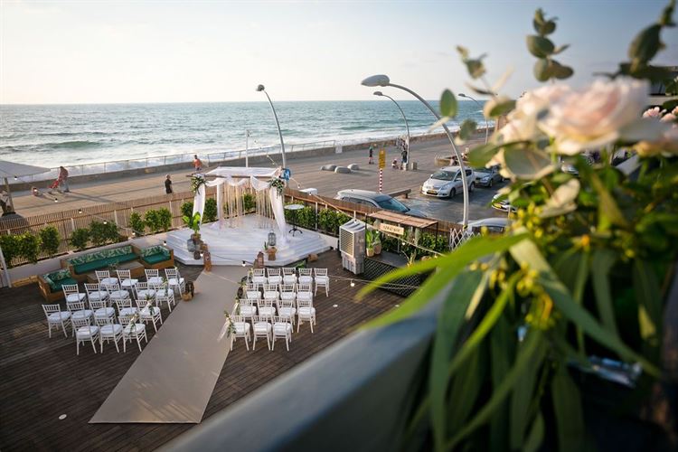 צילום: וואלה מזל טוב