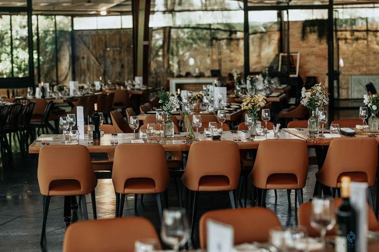 צילום: מורן מעיין