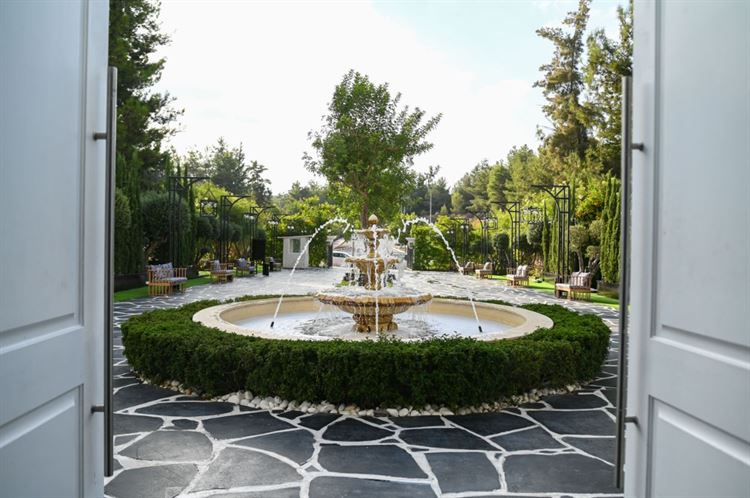 צילום: וואלה מזל טוב