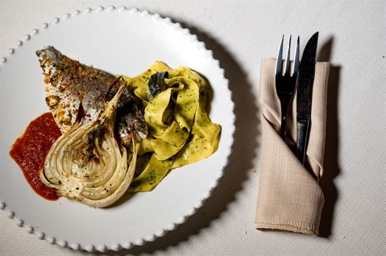 באסיקו. צילום: יח