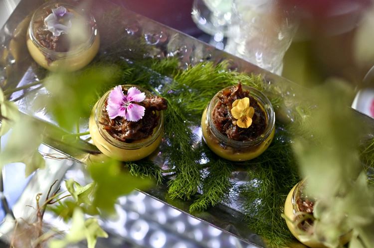 טרויה. צילום: יח