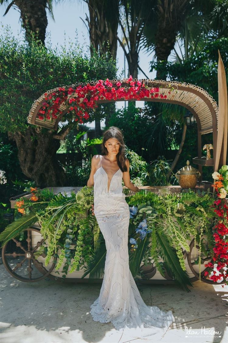 צילום: עידן חסון