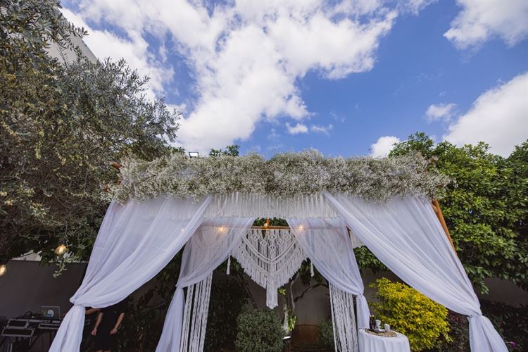 צילום: וואלה מזל טוב