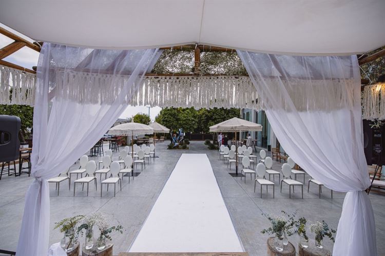 צילום: וואלה מזל טוב