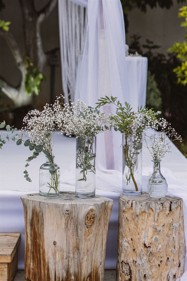 צילום: וואלה מזל טוב