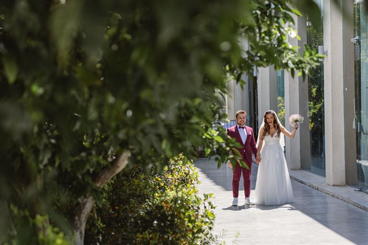 צילום: וואלה מזל טו