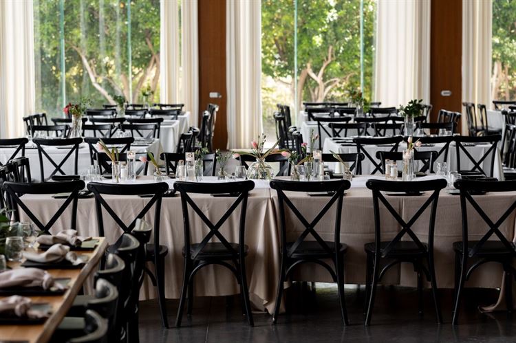 צילום: וואלה מזל טוב