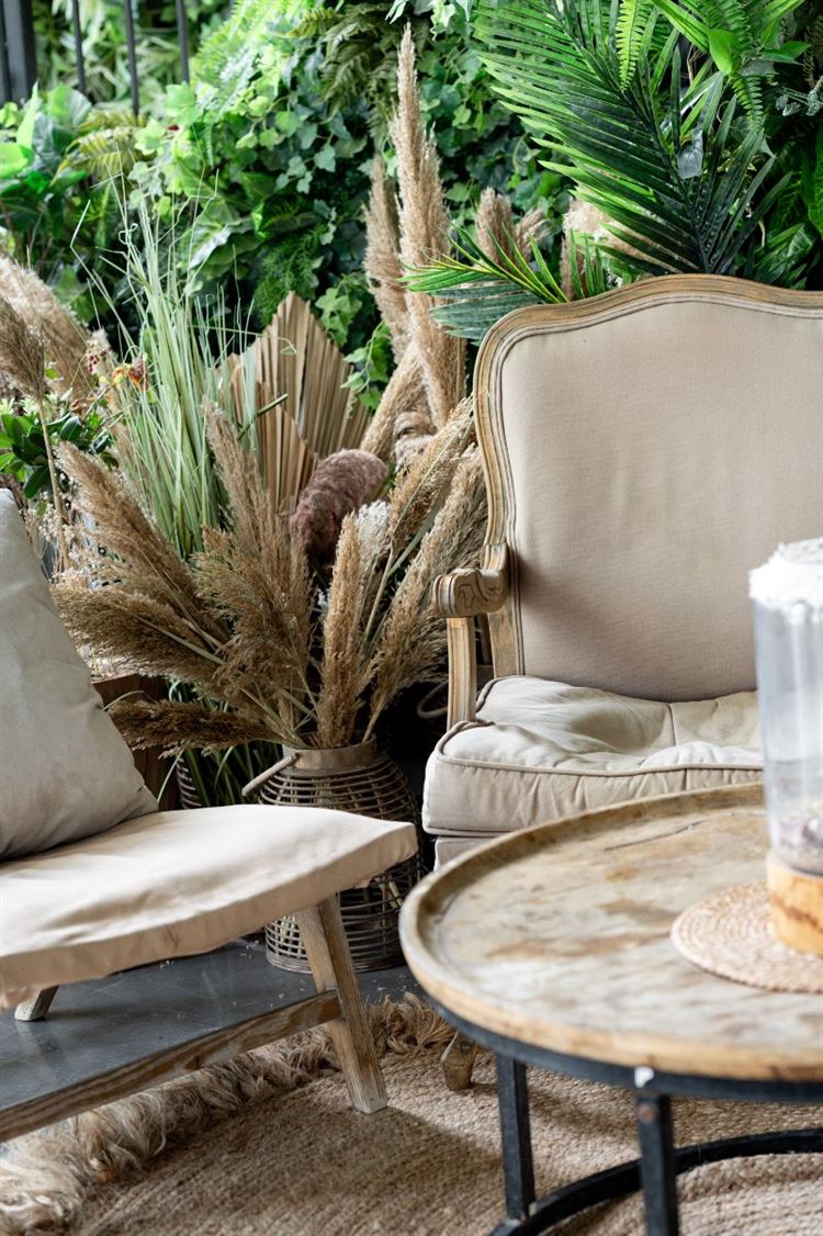 צילום: וואלה מזל טוב