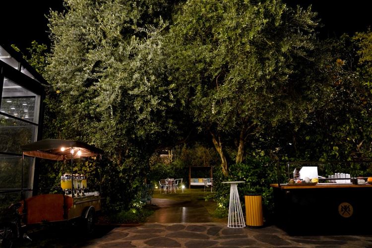 צילום: רון קובי