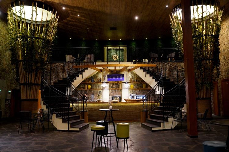 צילום: רון קובי