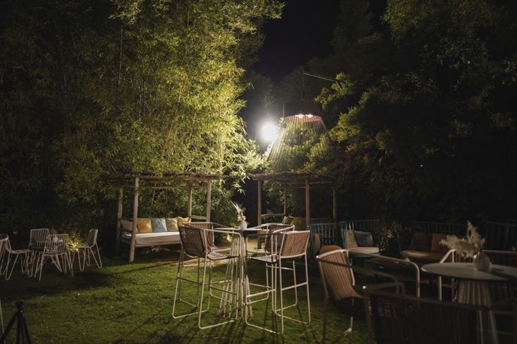 צילום: רון קובי