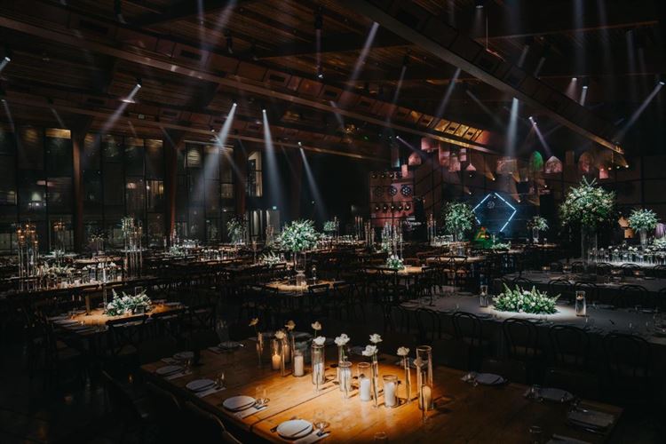 צילום: יוני משיח