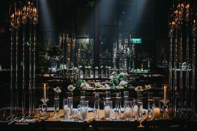 צילום: יוני משיח