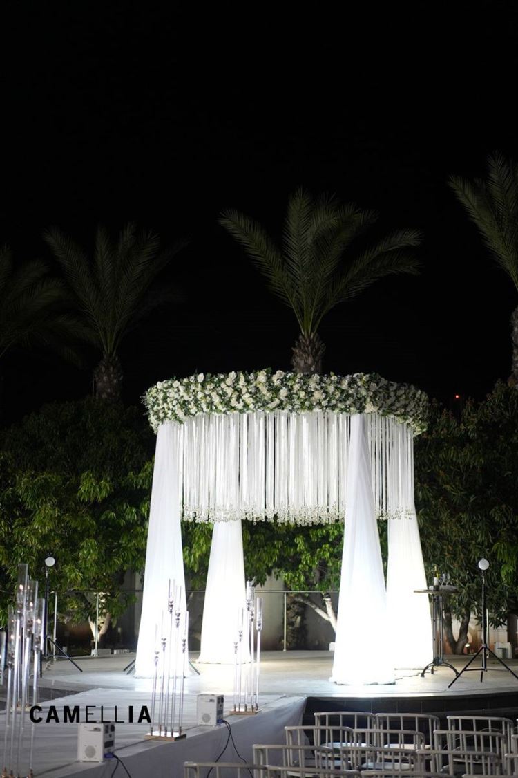 קמיליה - CAMELLIA