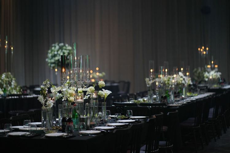 צילום: קמיליה אומנות הצילום