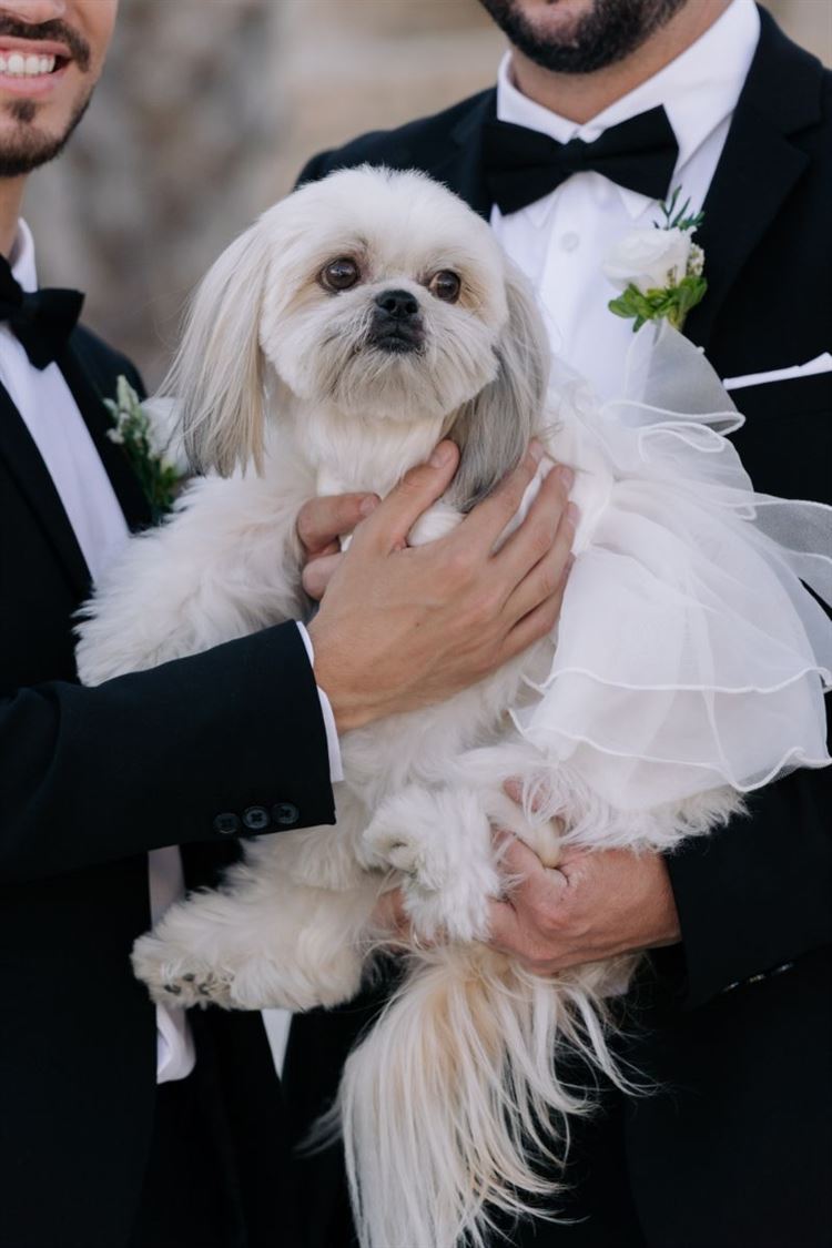 צילום: ווילו רוטר