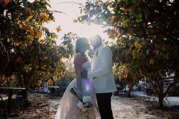 צילום: ליצ'י