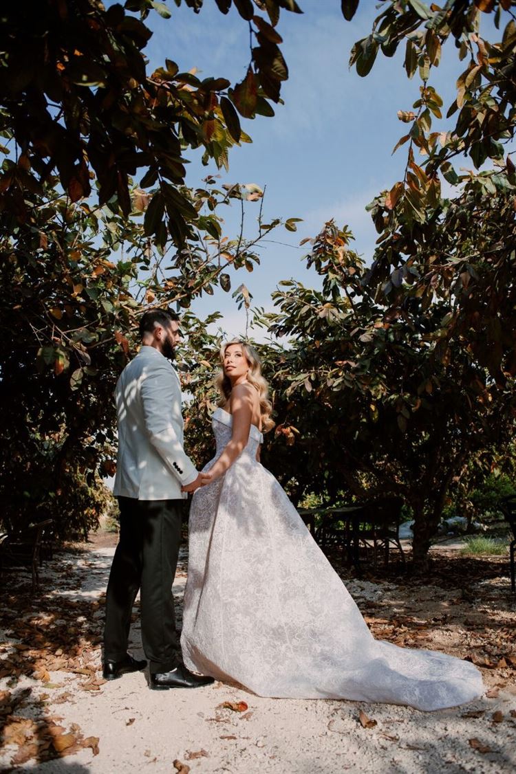 צילום: ליצ'י