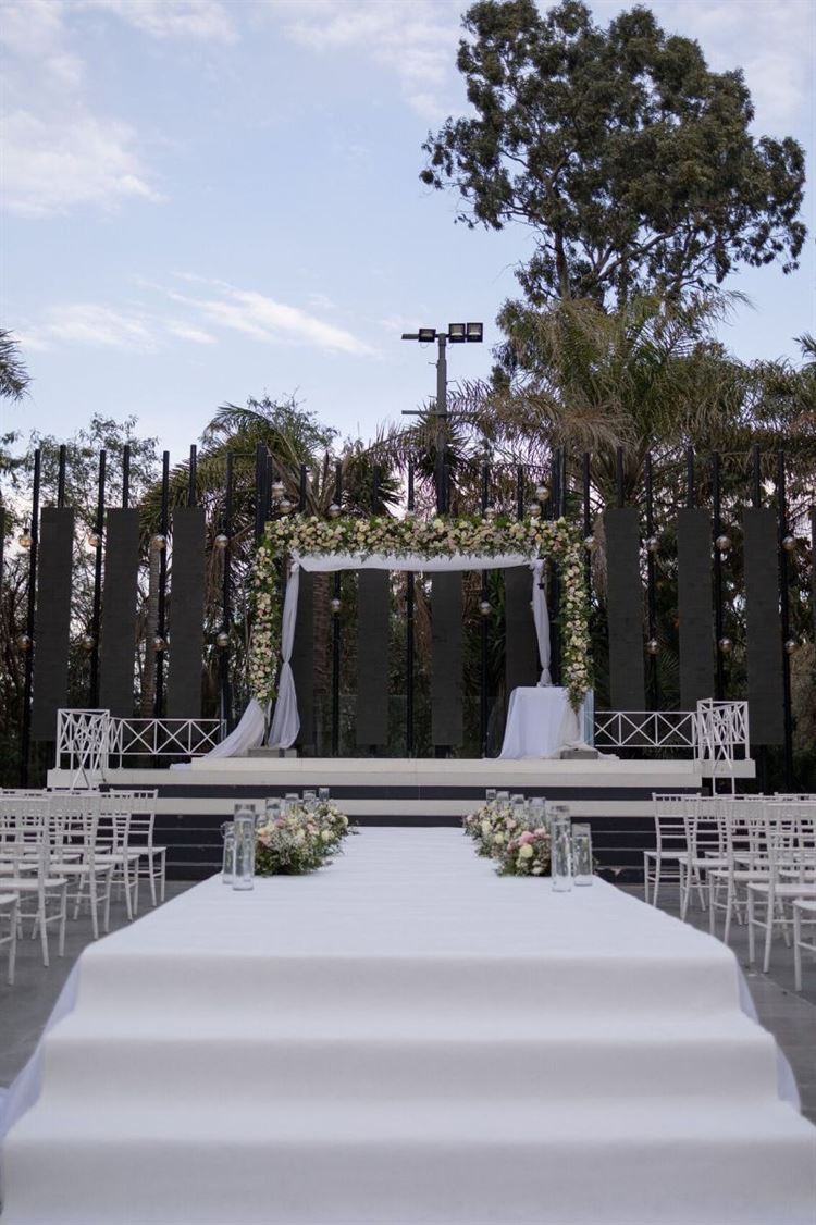 צילום: ליצ'י