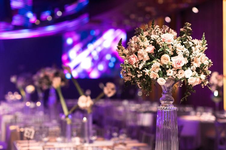 צילום: ליצ'י