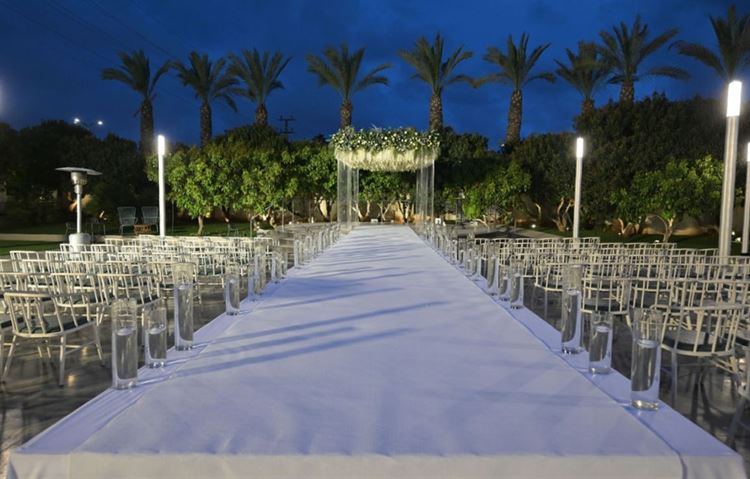 צילום: שי שושן גואטה  ומיקי סוויסה