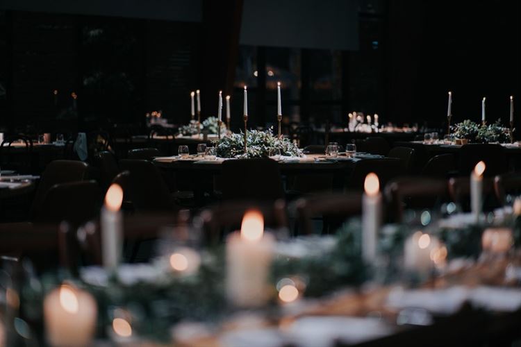 צילום: ברק כהן