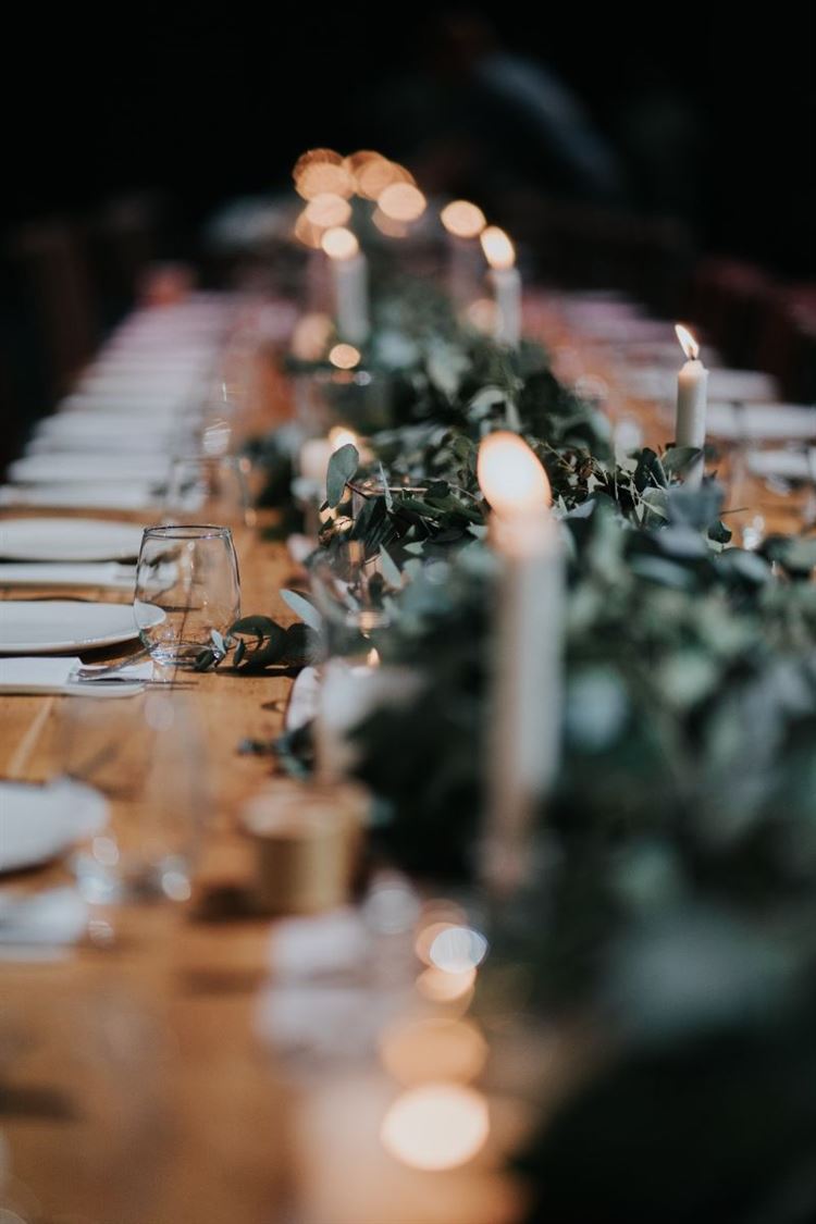 צילום: ברק כהן