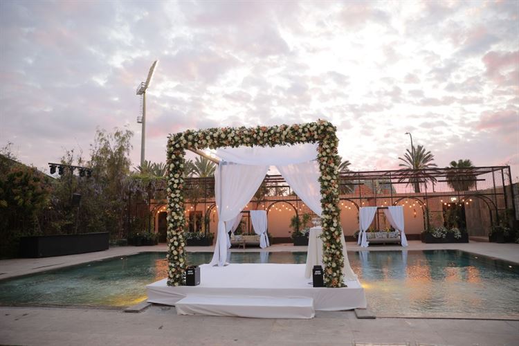 צילום: אבשלום זוהר