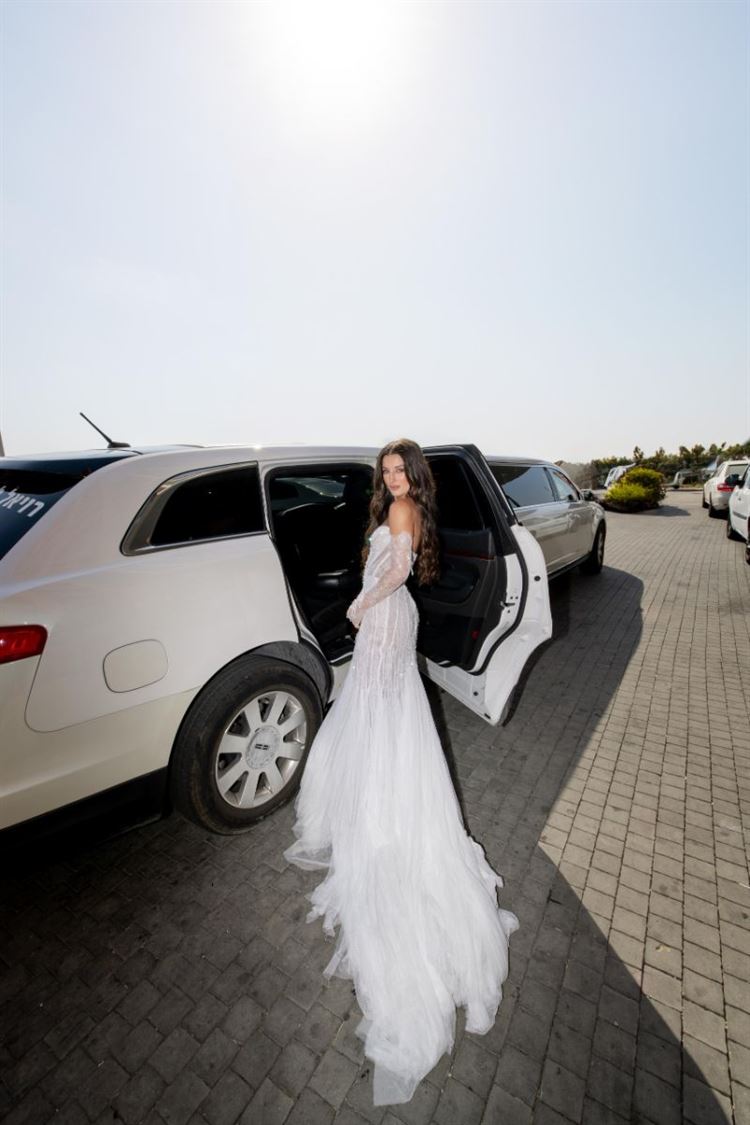 צילום: שלומי זנאתי