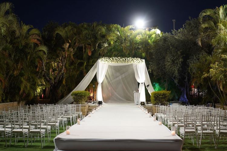 צילום: מיקי סוויסה