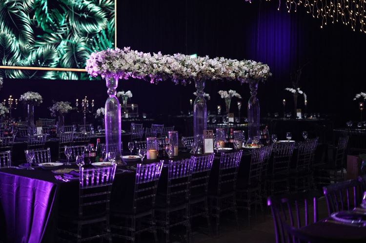 צילום: מיקי סוויסה