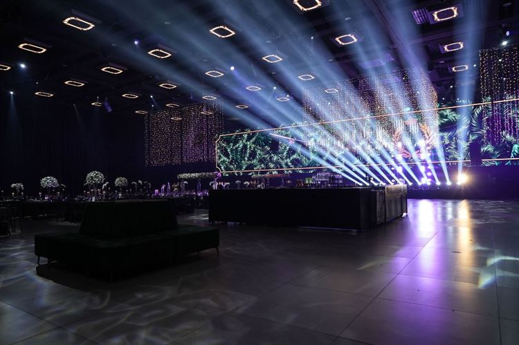 צילום: מיקי סוויסה