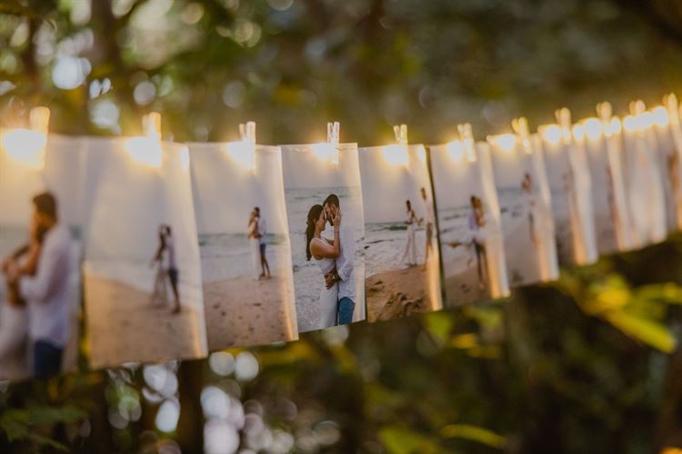 צילום: אלי ראול