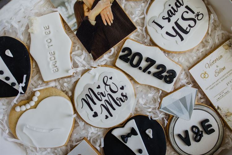 צילום: אלי ראול