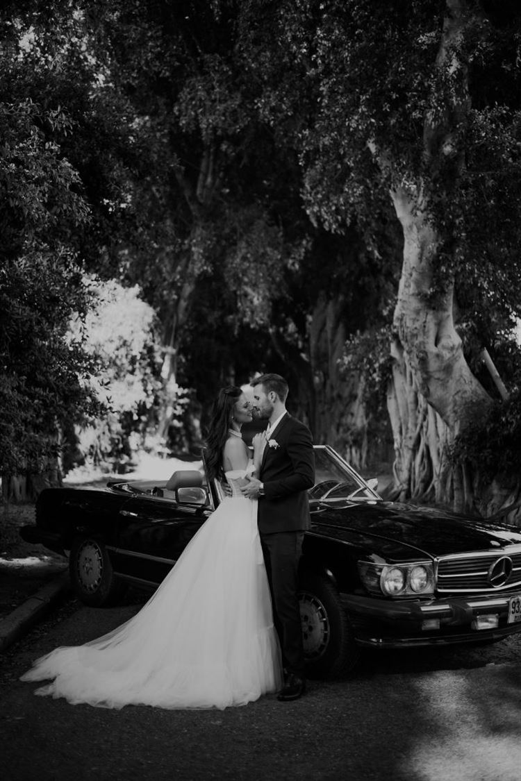 צילום: אלי ראול