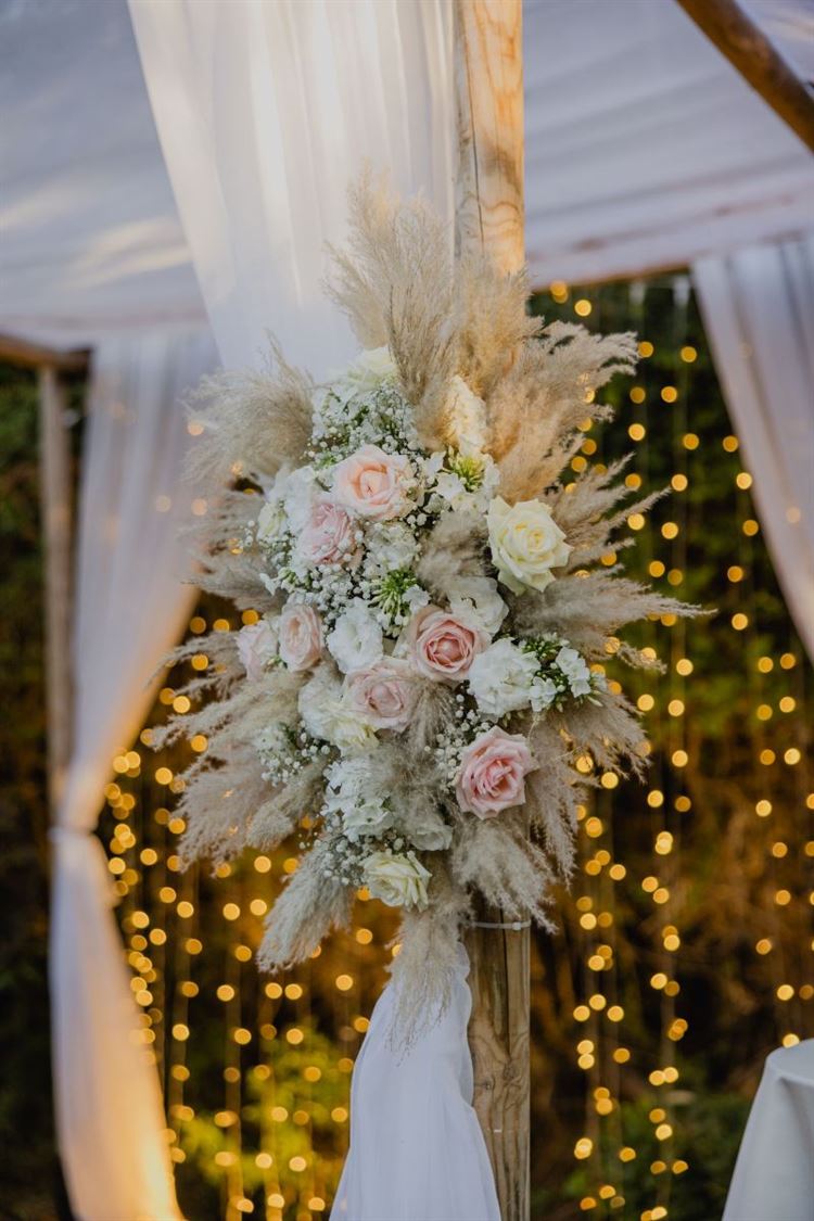 צילום: אלי ראול