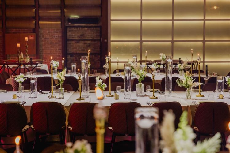 צילום: אלי ראול