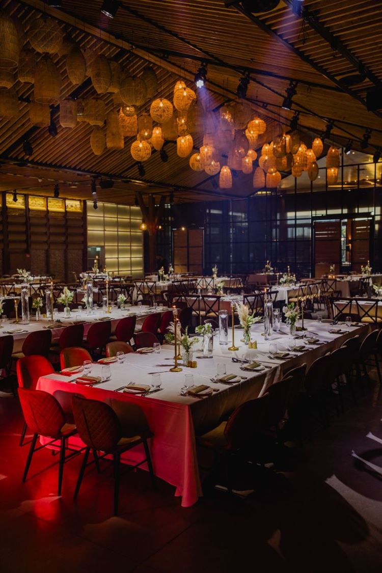 צילום: אלי ראול