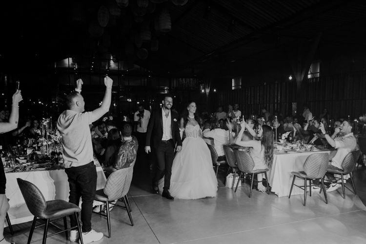 צילום: אלי ראול