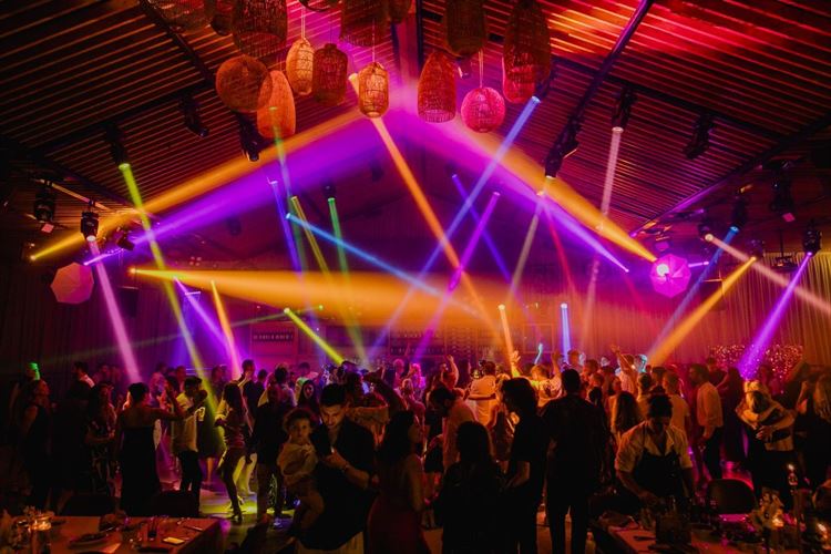 צילום: אלי ראול