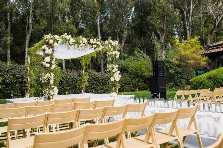 צילום: רונן בוידק