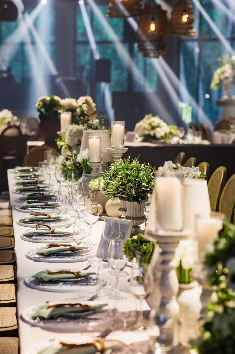 צילום: רונן בוידק