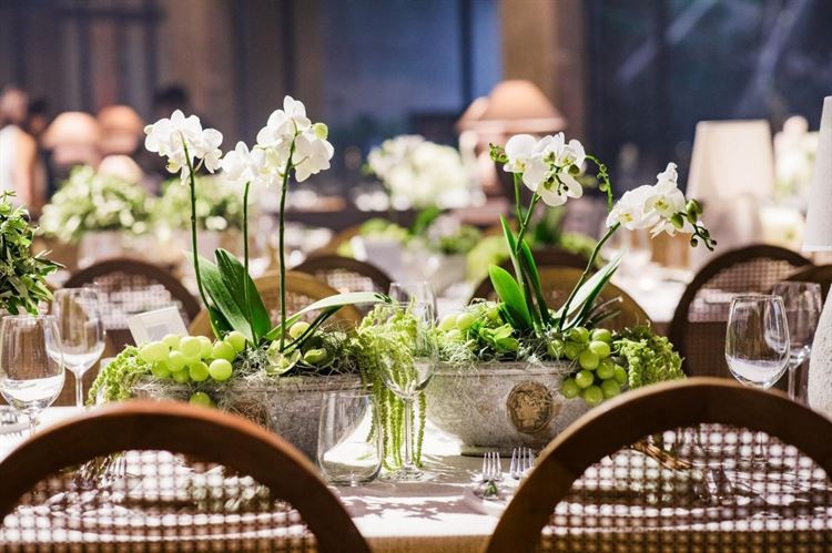 צילום: רונן בוידק