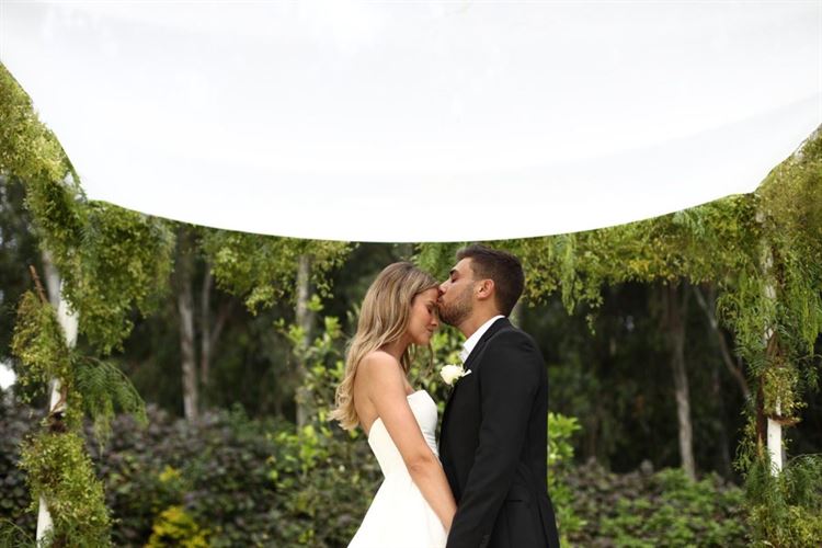 צילום: רונן בוידק