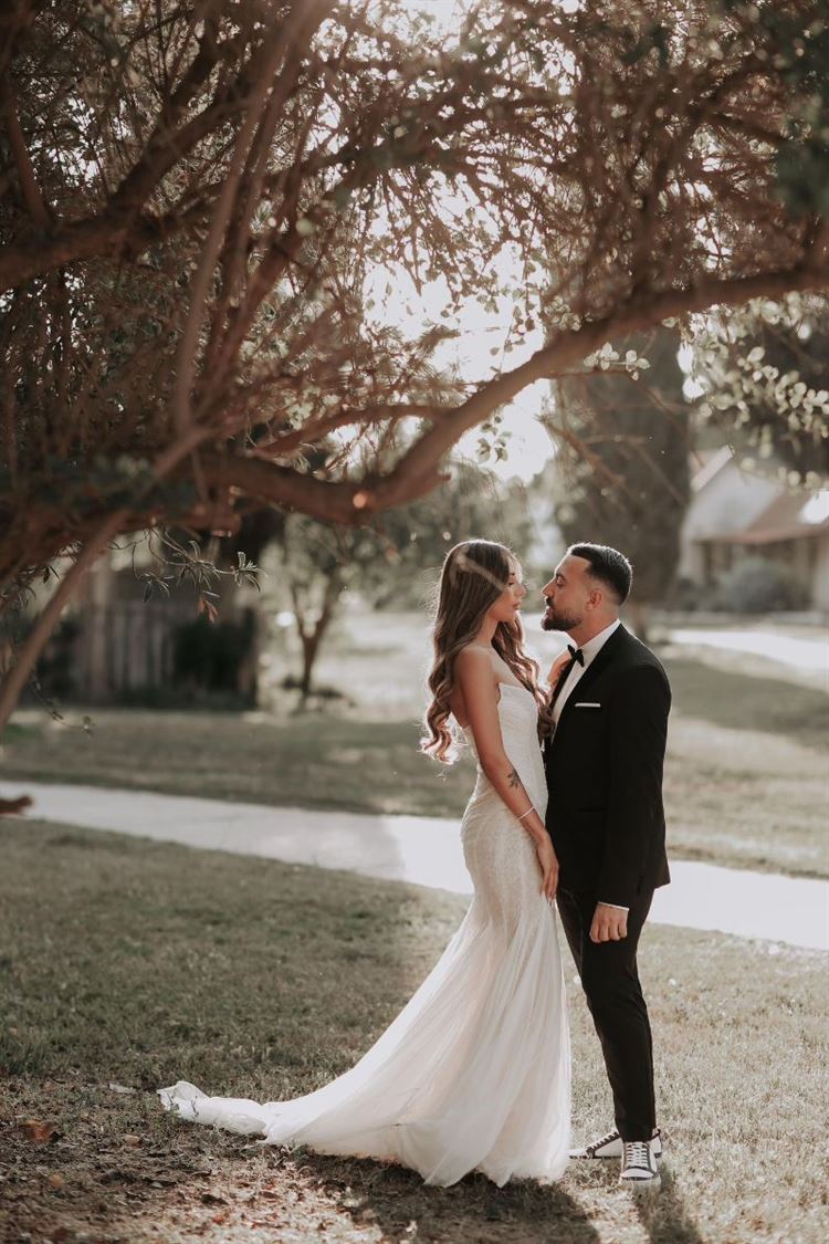 צילום: שלומי זנתי